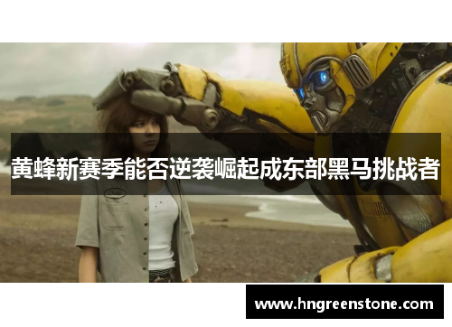 黄蜂新赛季能否逆袭崛起成东部黑马挑战者